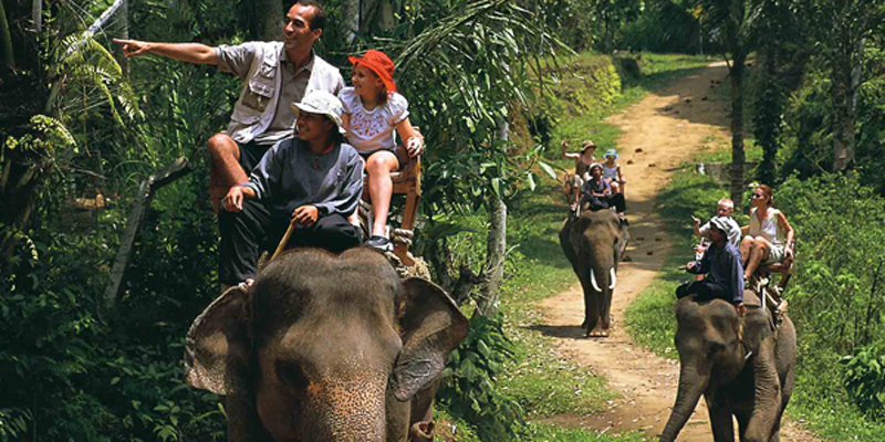 elephant-ride-taro-ubud